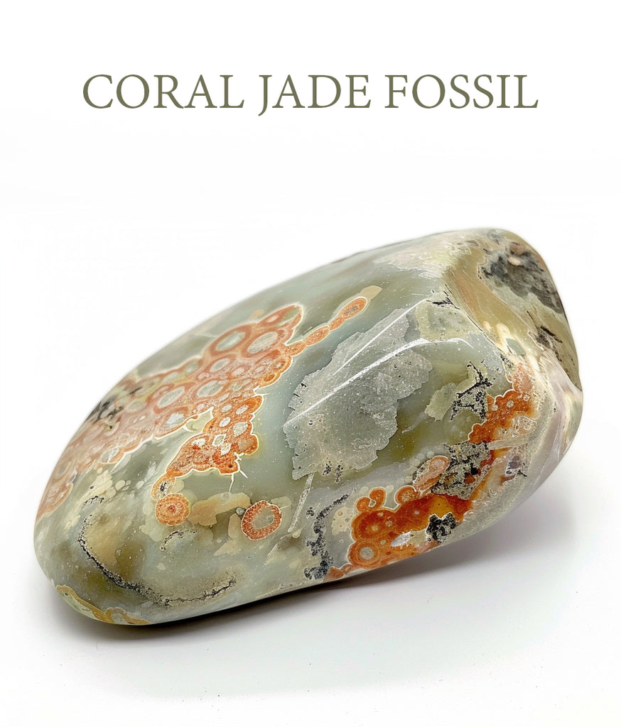Coral Jade Fossil Bracelet: Timeless Elegance with Earthy Energies Image 1