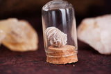 Organic Desert Rose Selenite Raw Crystal Cluster Glass Vase Decor