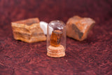 Earthy Tiger's Eye Stone in Minimalist Glass Vase Decor