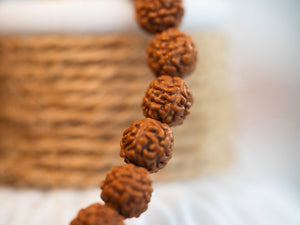 Rudraksha Bracelet