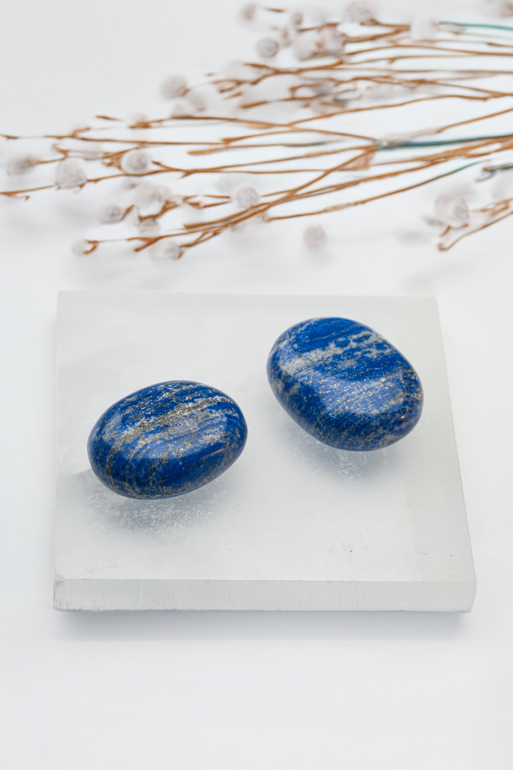 Royal Lapis Lazuli Palmstone